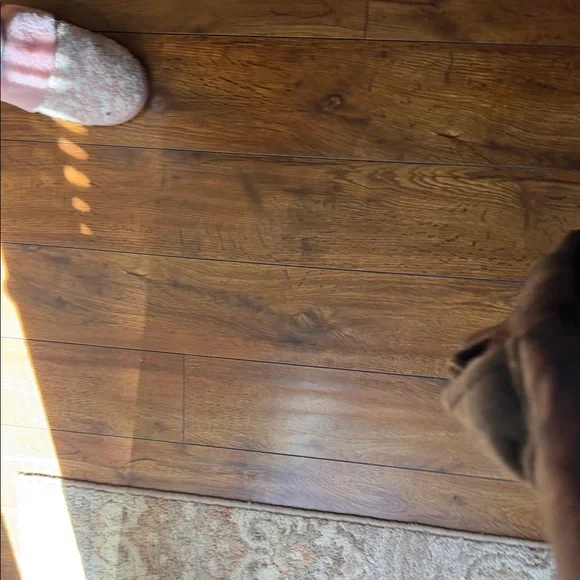 Darc Sport Camo Oversized Jogger - Picture 6 of 7